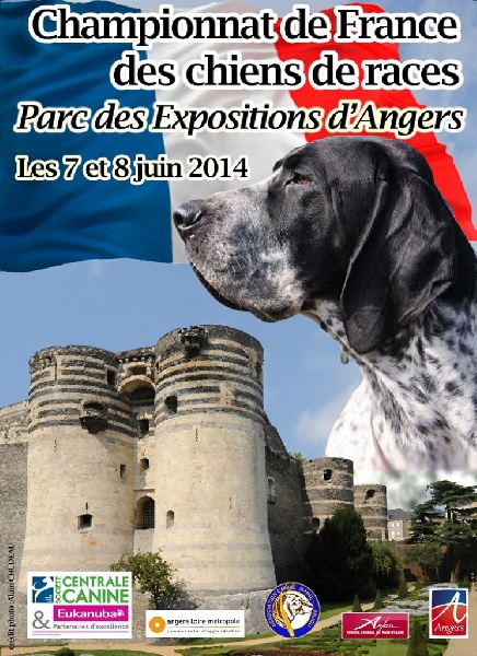 CH. Icaro du dragon rouge de jupiter - 1 er TP - Best Puppy