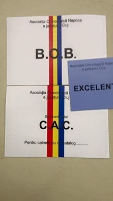 CH. Icaro du dragon rouge de jupiter - 1 er Exc CAC - BOB cl.O