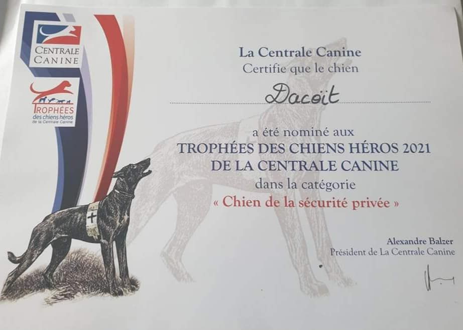 Dacoït du dragon rouge de jupiter - Nominé aux Trophées des Chiens Héros SCC
