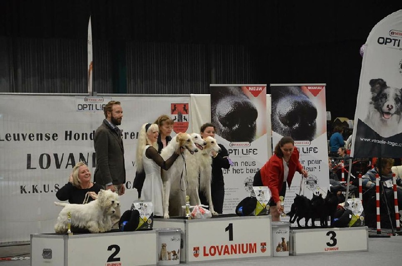 CH. Icaro du dragon rouge de jupiter - 3 ème Meilleur Groupe de l'Exposition