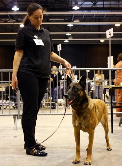 CH. Bea dite luna de la plaines des cheyennes - 1 er Exc - Meilleur Champion - Meilleur de Race