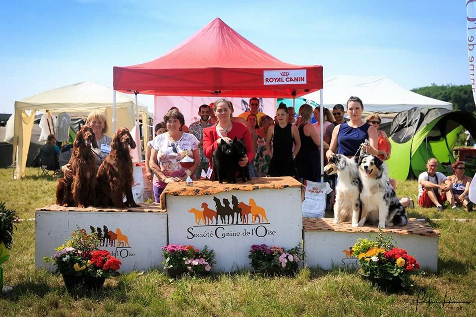 CH. Icaro du dragon rouge de jupiter - Best Paire de l'Exposition