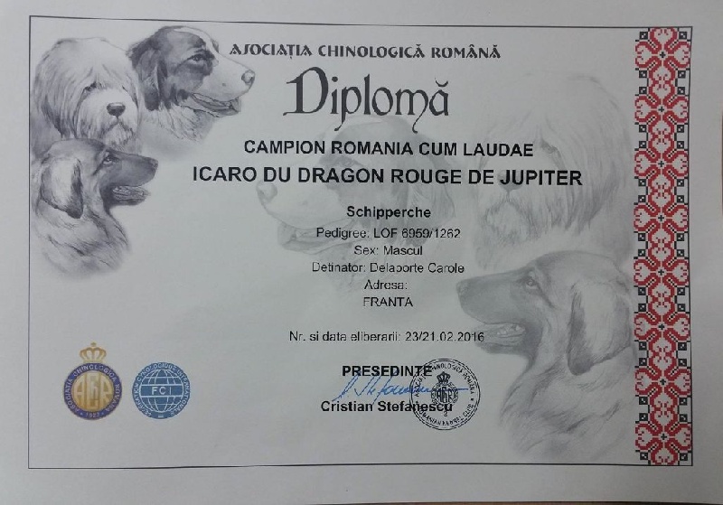 CH. Icaro du dragon rouge de jupiter - 1 er Exc CAC - CACIB - BOB cl.CH
