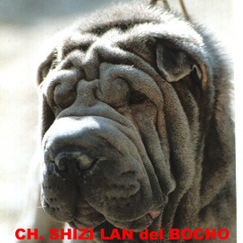 Publication : du bois de l'Altaïr