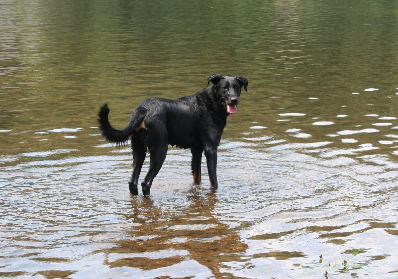 Hivère la Duchesse de la Fosse