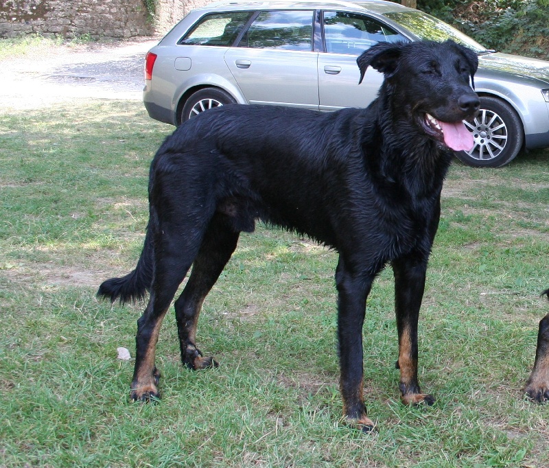 Hivère la Duchesse de la Fosse