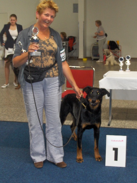 Enya bhraonáin Des bergers du Forez - 1e Exc, VDH-CHA-jg; Europa Jugendsiegerin