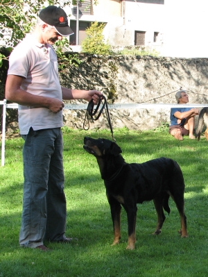 CH. Nvk naidy hestie des Vaillants d'Oslark - 2e Excellent, Classe veteran, Res CAC