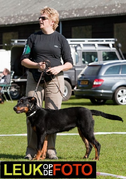 Enya bhraonáin Des bergers du Forez - Très prometteur