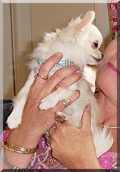 Champagne du Temple des Incas - T.A.N. (test des aptitudes naturelles) note 10/10