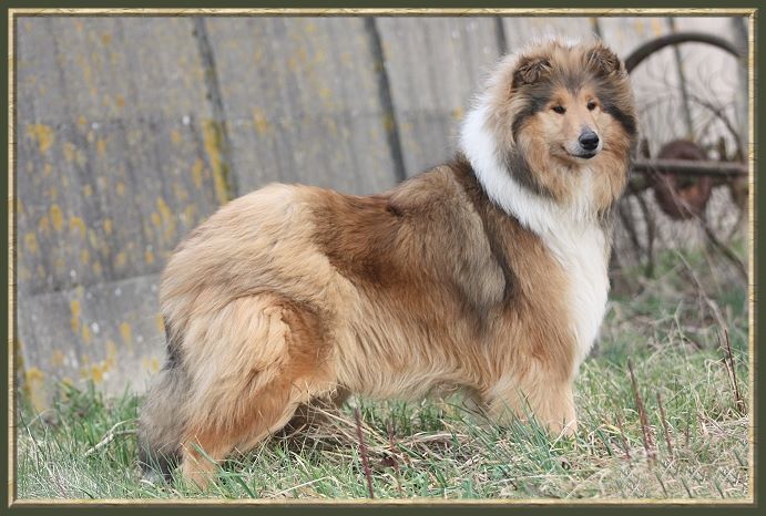 Divine idylle du bois des amazones