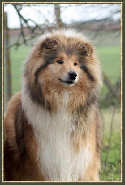 Divine idylle du bois des amazones