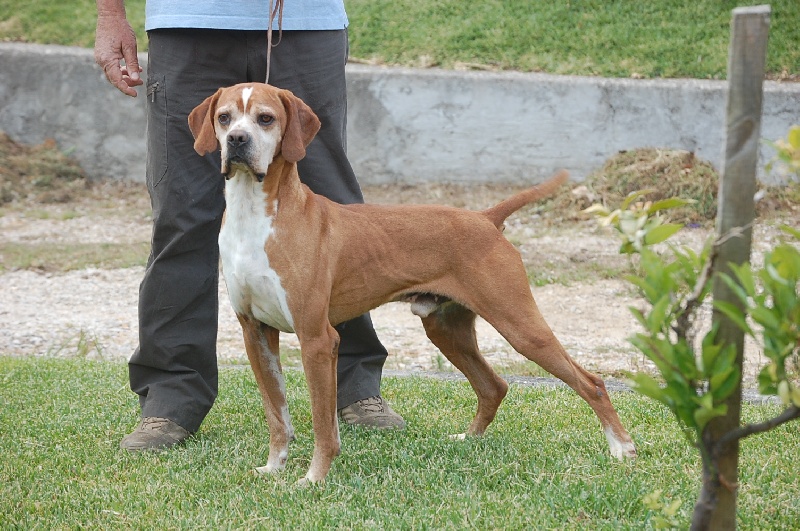 Publication : des chasseurs des grands pres Auteur : metayer/annabelle