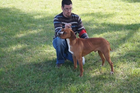 CH. Ego de tagus - 1 EXC CCC (classe champion)