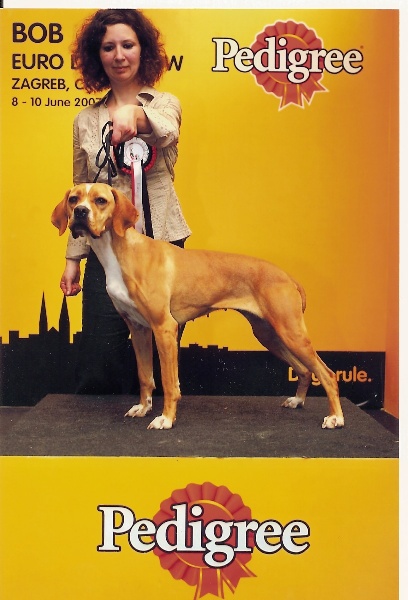 CH. Abby du grand sénéchal - cachr cacib bob