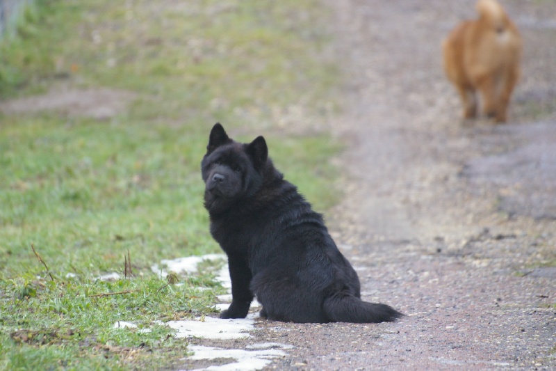 French kiss da ying de Zheng He