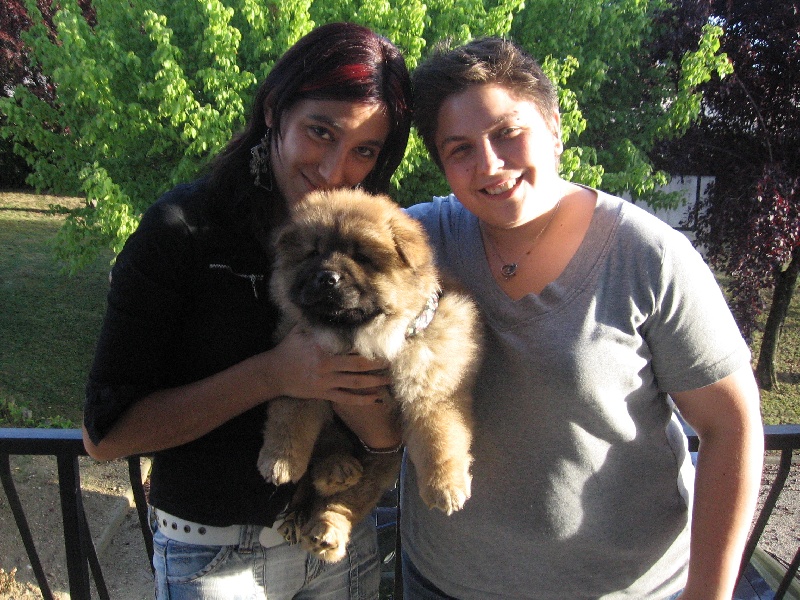 Eye candy bohua de Zheng He