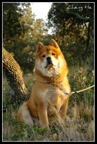 French can-can da an de Zheng He