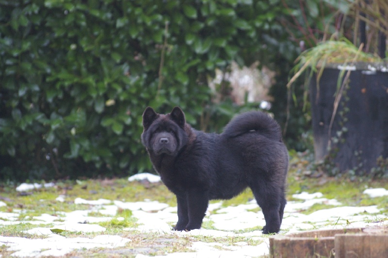 French kiss da ying de Zheng He