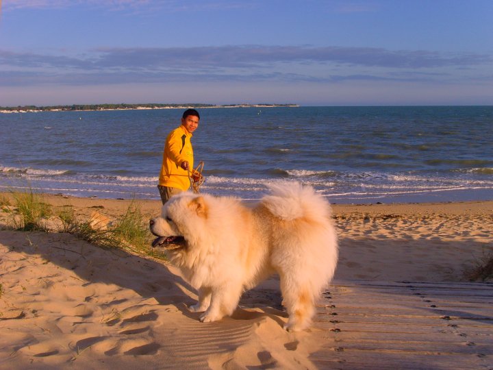Eye catcher beng beng de Zheng He