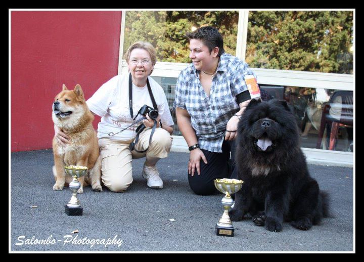 French can-can da an de Zheng He