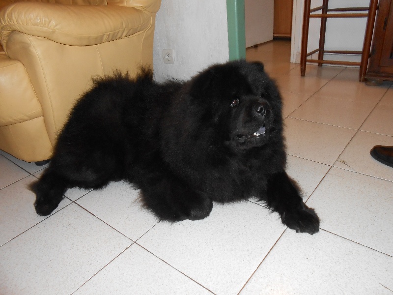 Fantastic aramis ci xiang de Zheng He