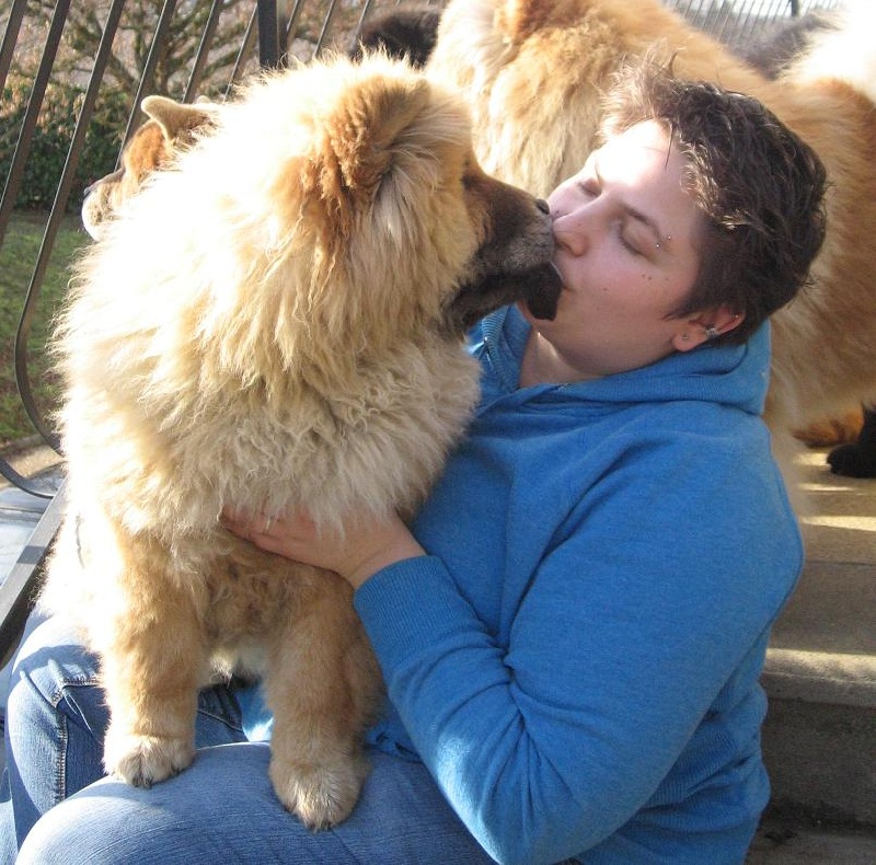 Eye candy bohua de Zheng He