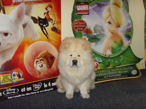 Eye catcher beng beng de Zheng He