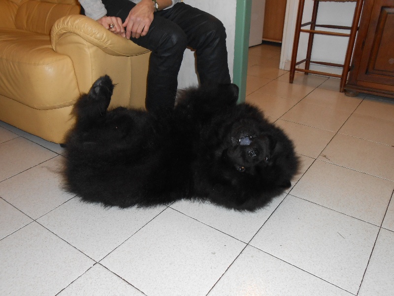 Fantastic aramis ci xiang de Zheng He