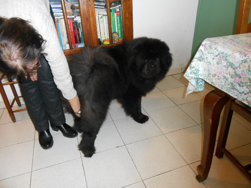 Fantastic aramis ci xiang de Zheng He