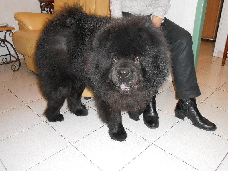 Fantastic aramis ci xiang de Zheng He