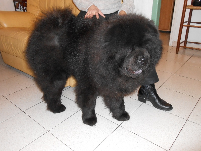 Fantastic aramis ci xiang de Zheng He