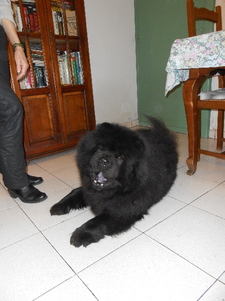 Fantastic aramis ci xiang de Zheng He