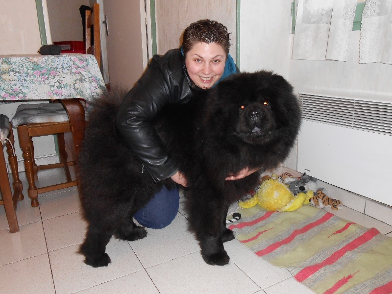 Fantastic aramis ci xiang de Zheng He