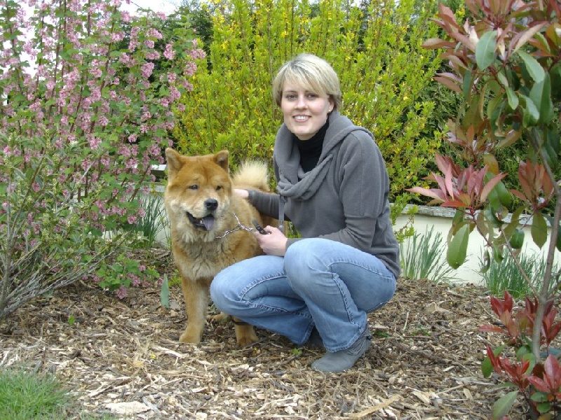 Game on en yu de Zheng He