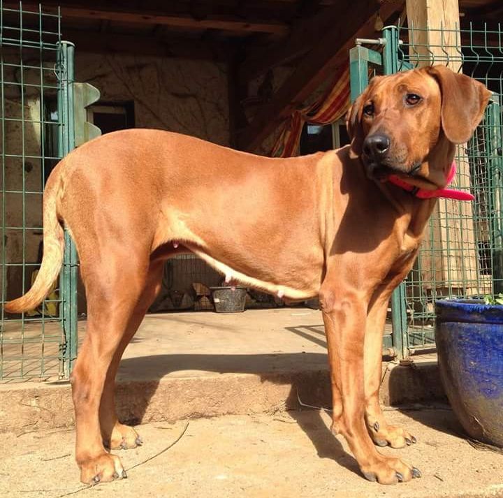 Publication : des Terres Lointaines