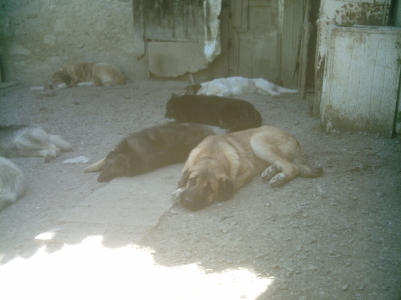 Publication : des Gardiens d'Eckmühl