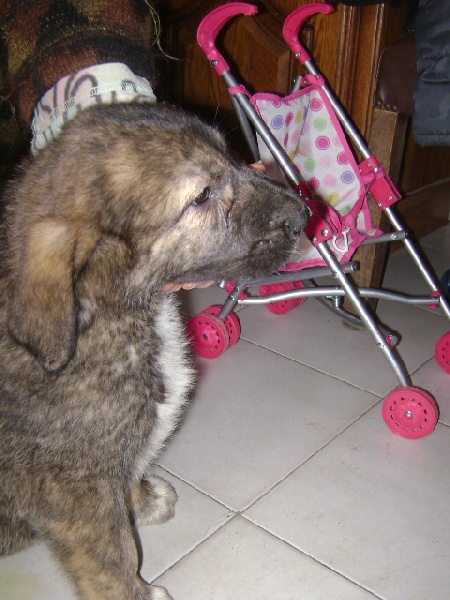 Publication : des Gardiens d'Eckmühl