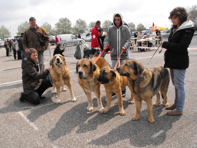 Publication : des Gardiens d'Eckmühl