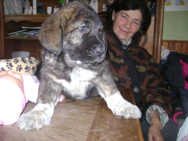 Publication : des Gardiens d'Eckmühl