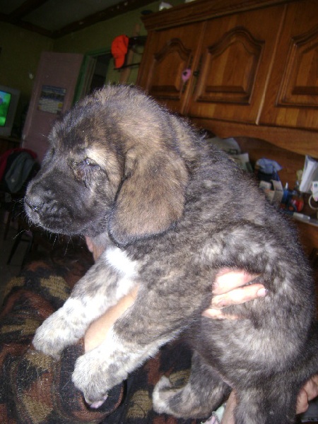 Publication : des Gardiens d'Eckmühl