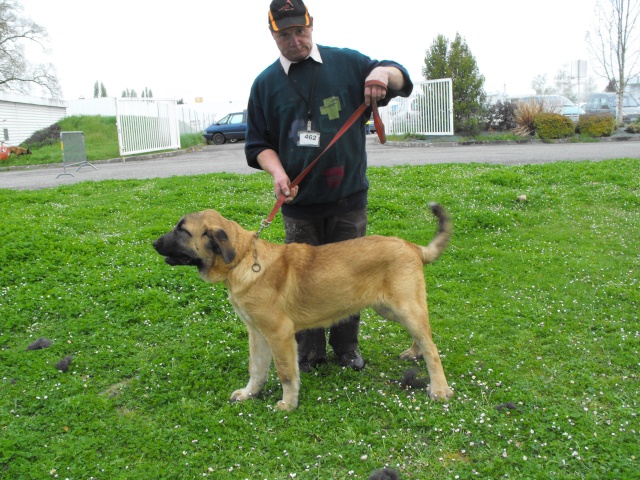 Publication : des Gardiens d'Eckmühl