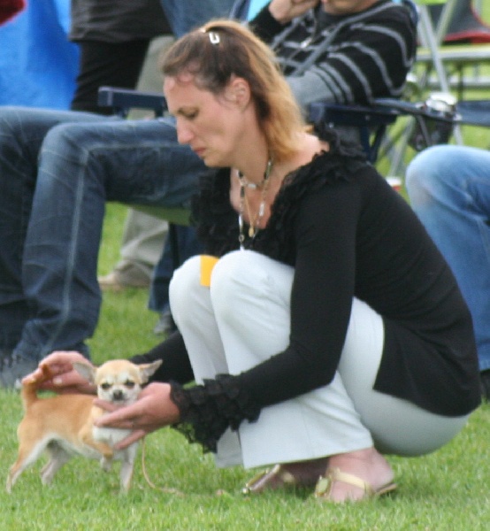 Dalli- (Sans Affixe) - MEILLEUR DE RACE JEUNE 1er EXC