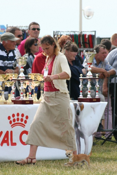 Dalli- (Sans Affixe) - MEILLEUR JEUNE 1ER EXC