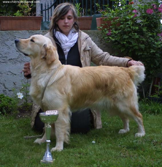 Alshain de la Vallée des Brumes du Scorff - RCACS Excellente classée : 2ième