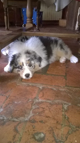 Publication : du Domaine D'Eily