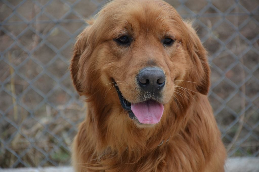 Publication : du Domaine D'Eily