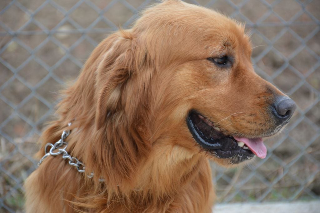 Publication : du Domaine D'Eily