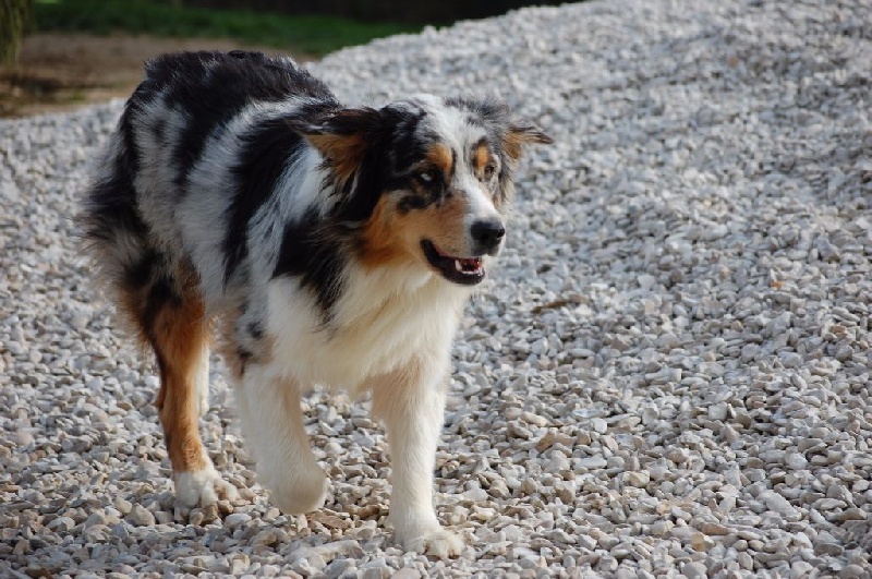 Publication : du Domaine D'Eily