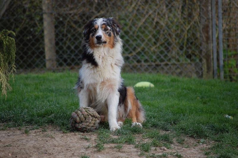 Publication : du Domaine D'Eily